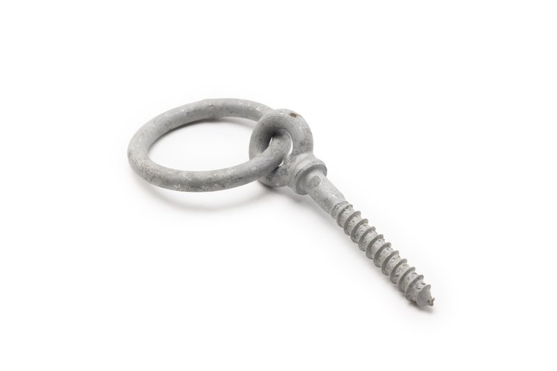 Ring Eye Bolt with wood thread 12x100mm
