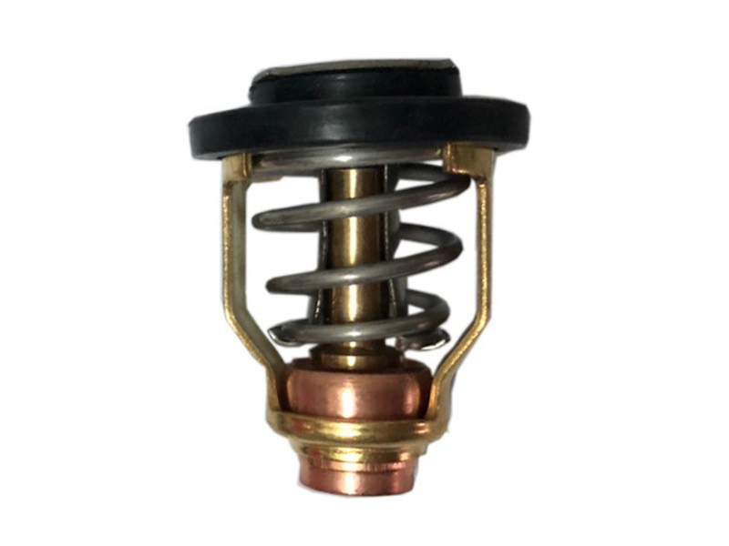 Sea-X thermostat Yamaha F75-F250 / Suzuki DF70-DF300