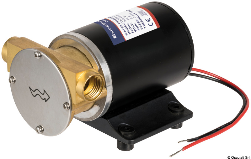 Europump self-priming pump brass head 12 V