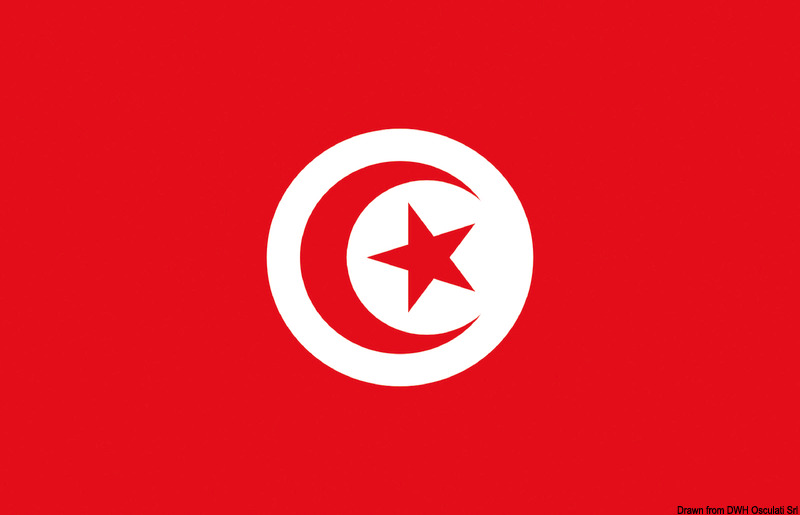 Flag Tunisia 20 x 30 cm