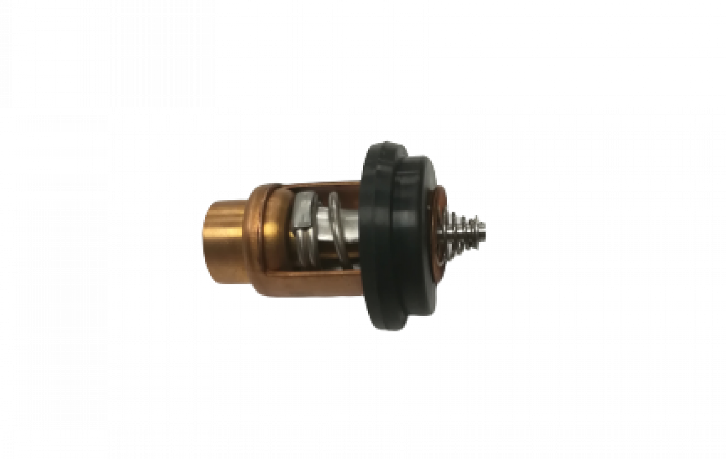 Термостат Parsun T15-04000010