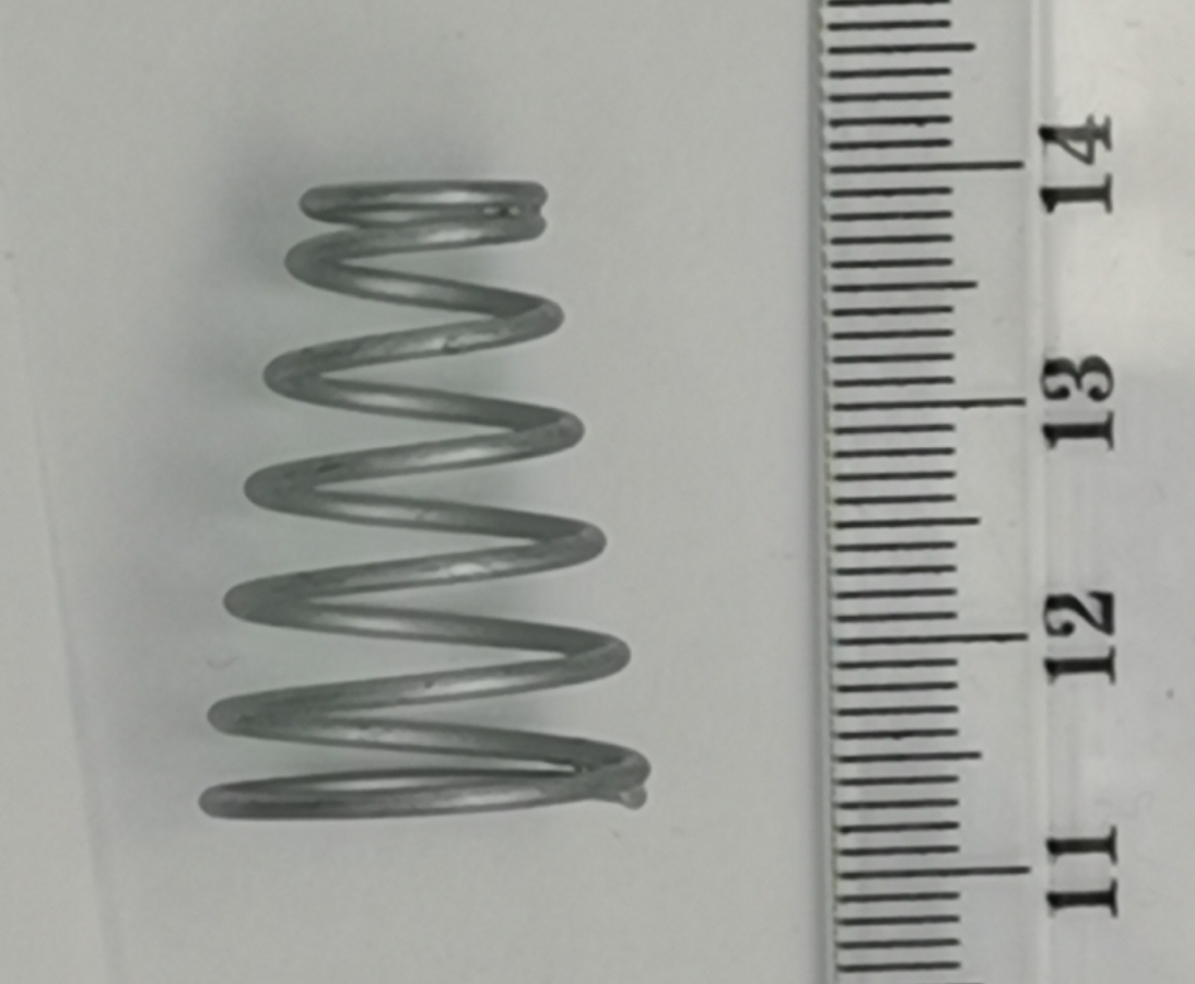Fixation rod Spring