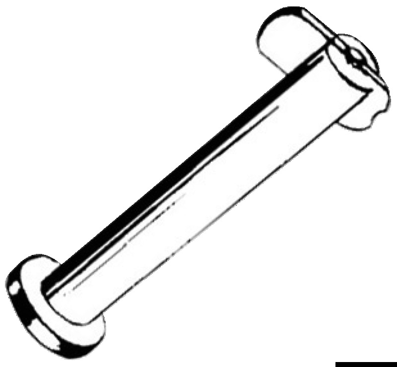 SS drop nose pin 10 x 45mm