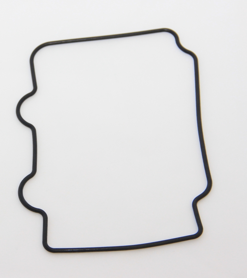 Fender cover F5 beige review