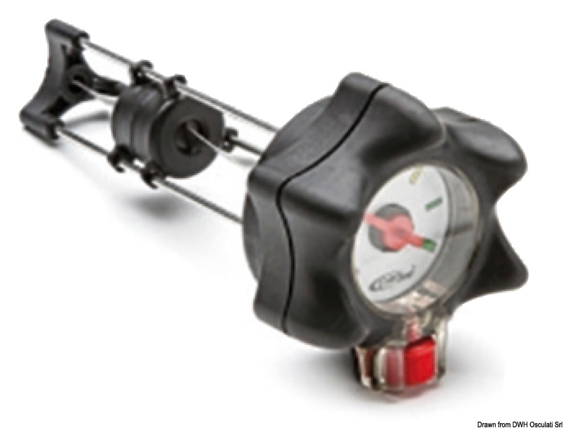 Plug w/level indicator