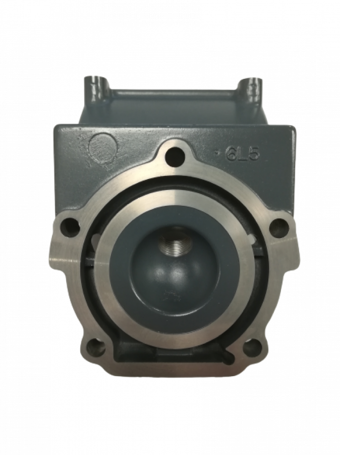 Cylinder Head Yamaha Malta    6L5-11111-00-1S