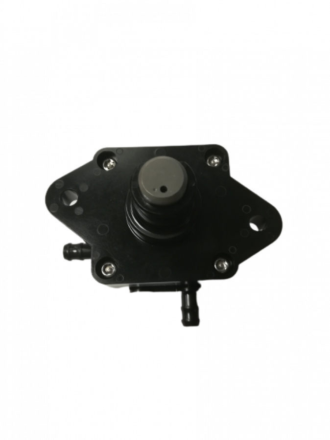 Fuel pump F25/30A F9.9/15/18