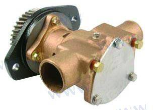cummins water pump