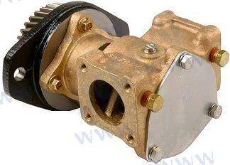 cummins water pump