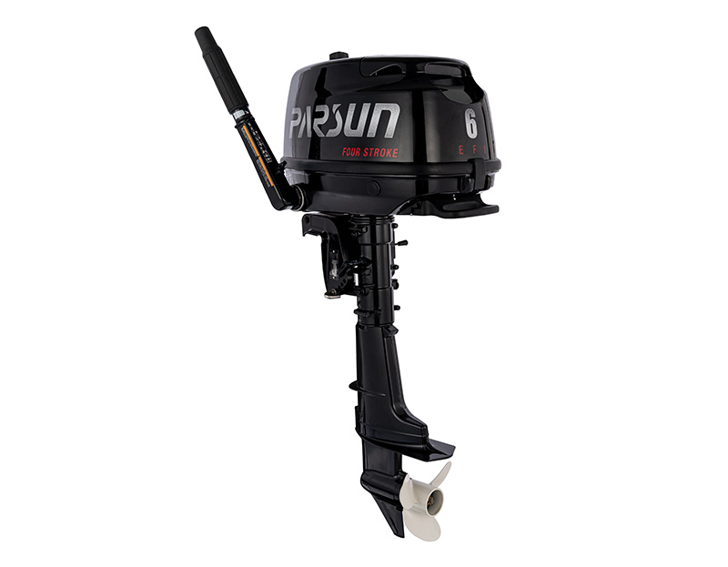 Двигатель PARSUN 6HP S (F6ABMS)