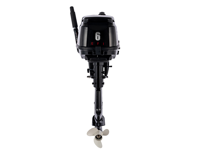 Двигатель PARSUN 6HP S (F6ABMS)
