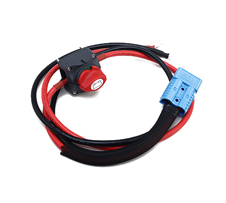 Электродвигатель Parsun Joy 6 kw Rumpelis Std