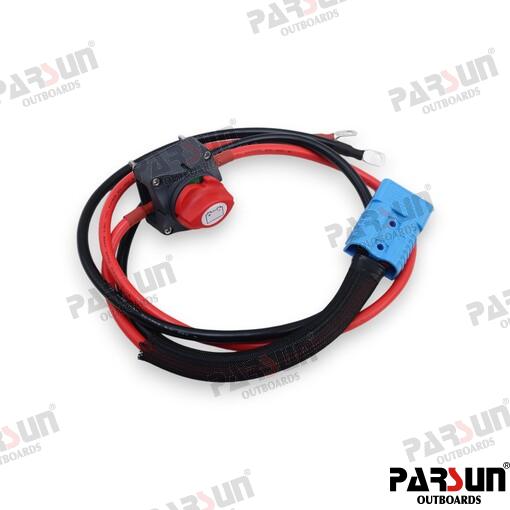 Electric engine Parsun Joy 6 kw Rumpelis Std