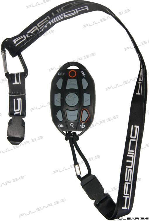 Remote control for Haswing Cayman gps