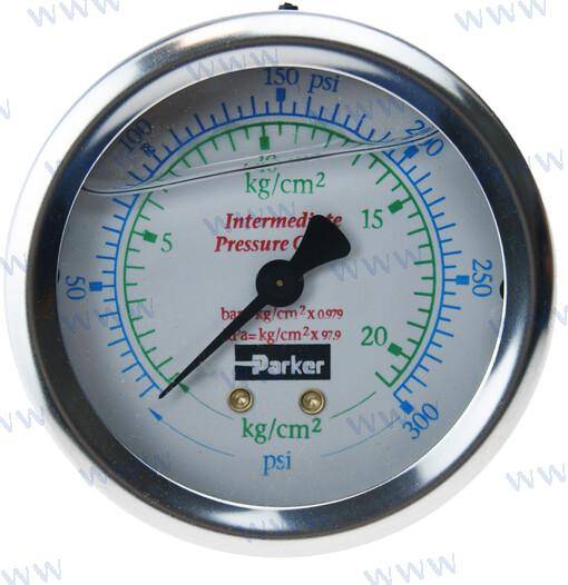 gauge 0-300 cbm.npt