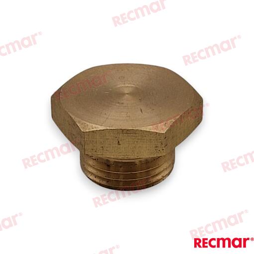 Anode Plug for Parsun