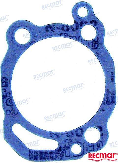 Water Pump Gasket (27-39623, 0508544)