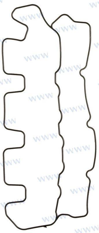 valve cover gasket d2