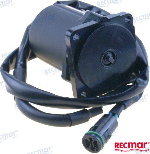 trim motor