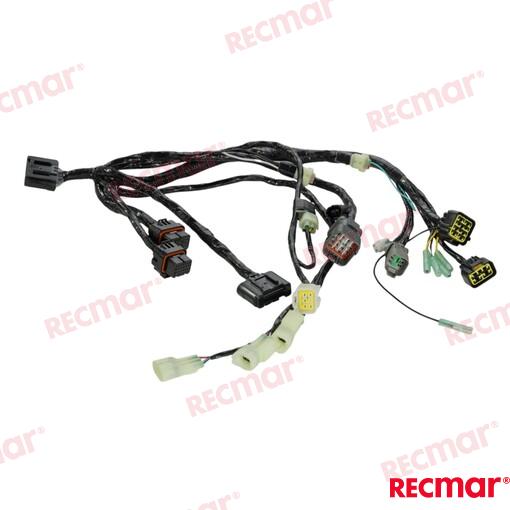 Harness Assy Bcm No.1 Sngl