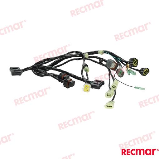 Harness Assy Bcm No.1 Sngl