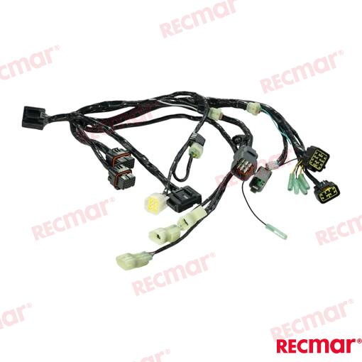 Harness Assy Bcm No.1 Sngl