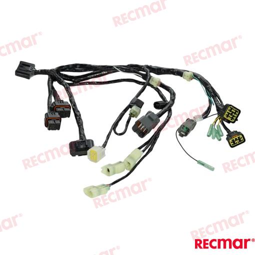 Harness Assy Bcm No.1 Sngl