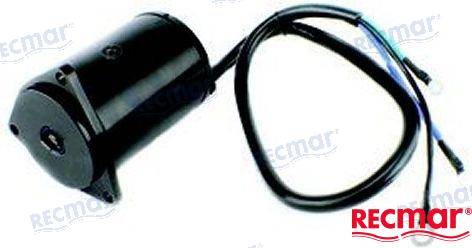 trim motor