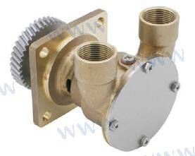 caterpillar water pump