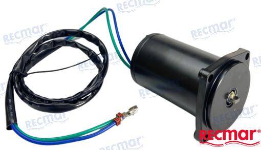 trim motor e-tec