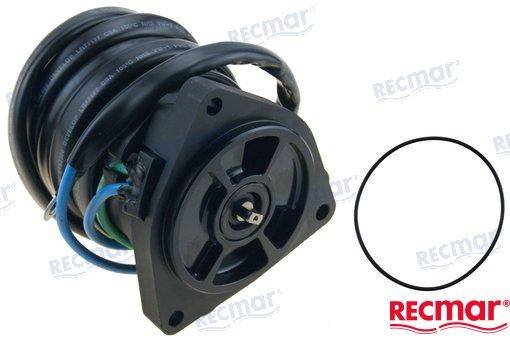 trim motor