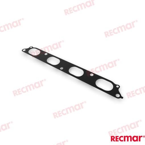 Intake Gasket