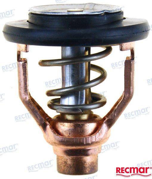 thermostat 60°C