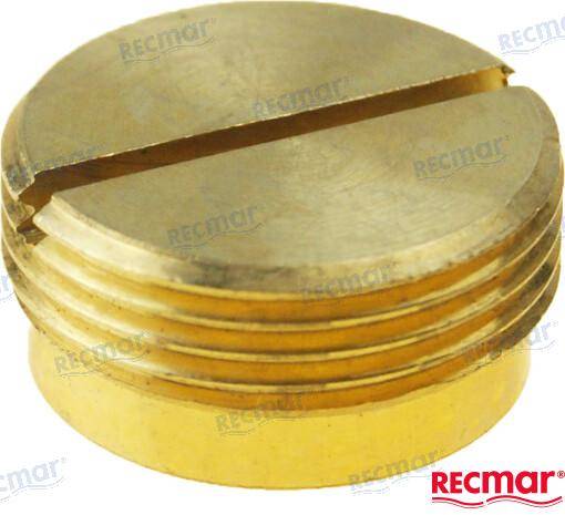 plug for yamaha