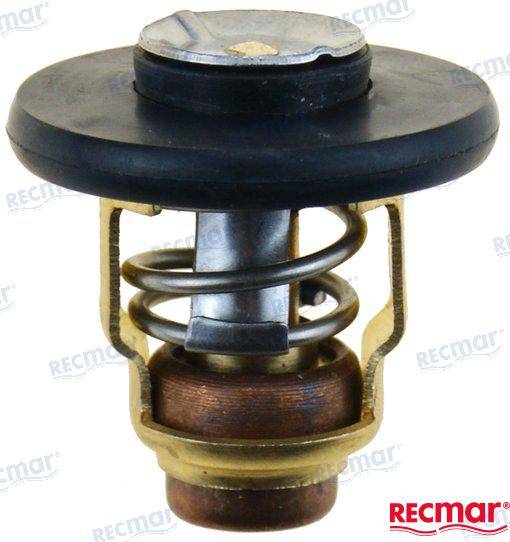 thermostat 60°C