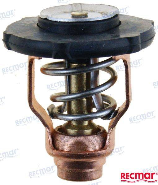 thermostat 60°C