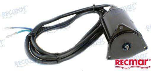 trim motor