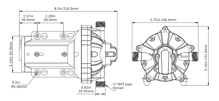 washdown water pump kit SEAFLO 12v 5.0/18.9lpm Series 51