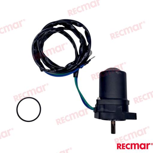 Trim motor Parsun, 65W-43880-00; 65W-43880-01; 65W-43880-10; 67C-43880-0100; 67C-43880-00; 67C-43880-01