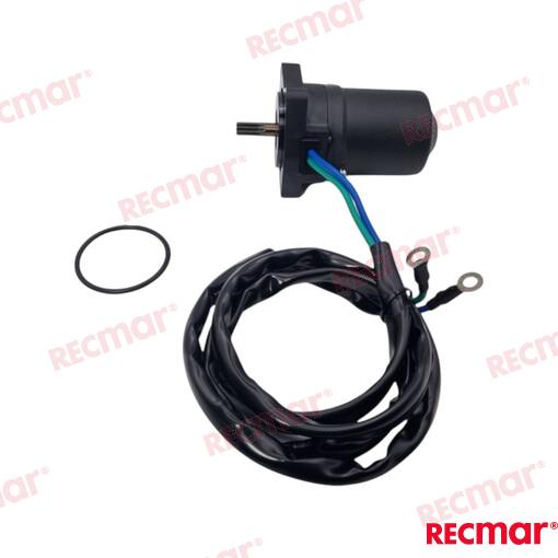 Trim motor Parsun, 65W-43880-00; 65W-43880-01; 65W-43880-10; 67C-43880-0100; 67C-43880-00; 67C-43880-01
