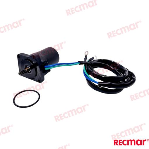 Trim motor Parsun, 65W-43880-00; 65W-43880-01; 65W-43880-10; 67C-43880-0100; 67C-43880-00; 67C-43880-01